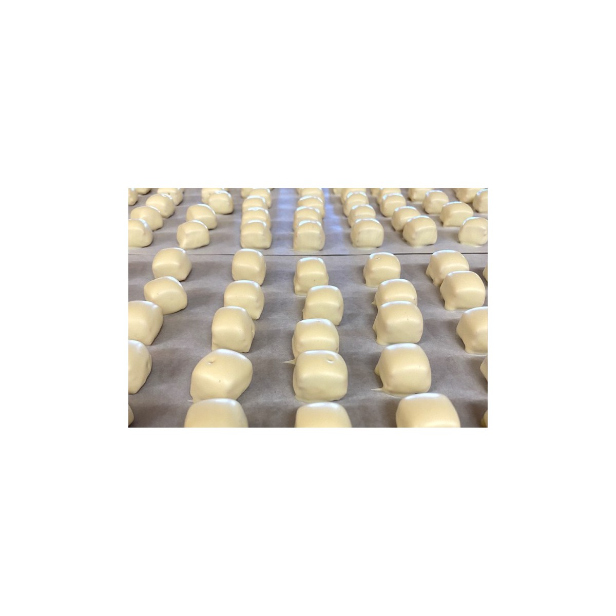 Biscuit à l'huile d'olive 3.8%, enrobé de chocolat blanc