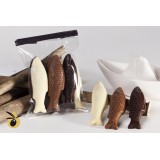 Chocolat intérieur praliné à l'huile d'olive 1.6%