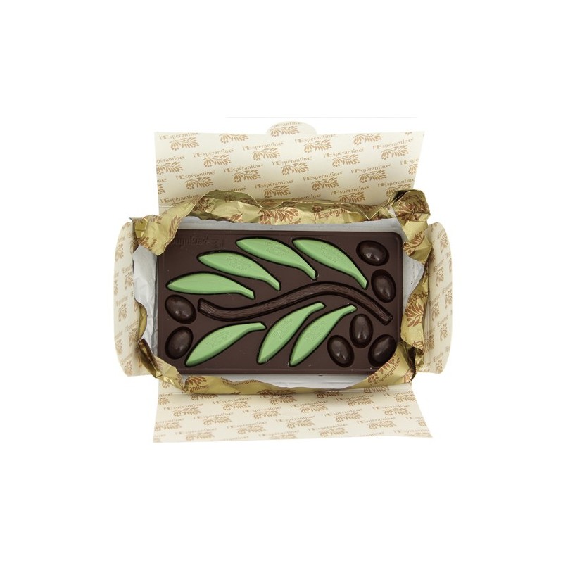 Atelier chocolat tablette Espérantines