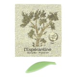 Athéna - Boîte de 4 Espérantines Originales à l'huile d'olive