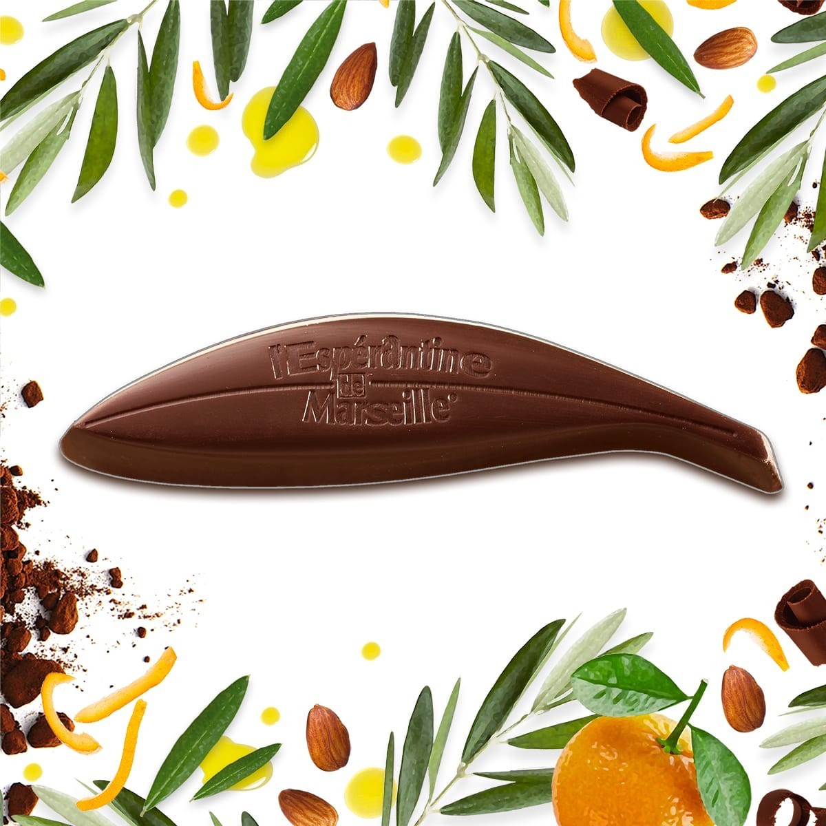 Athéna Discovery Box – 4 Espérantines Polyphonie