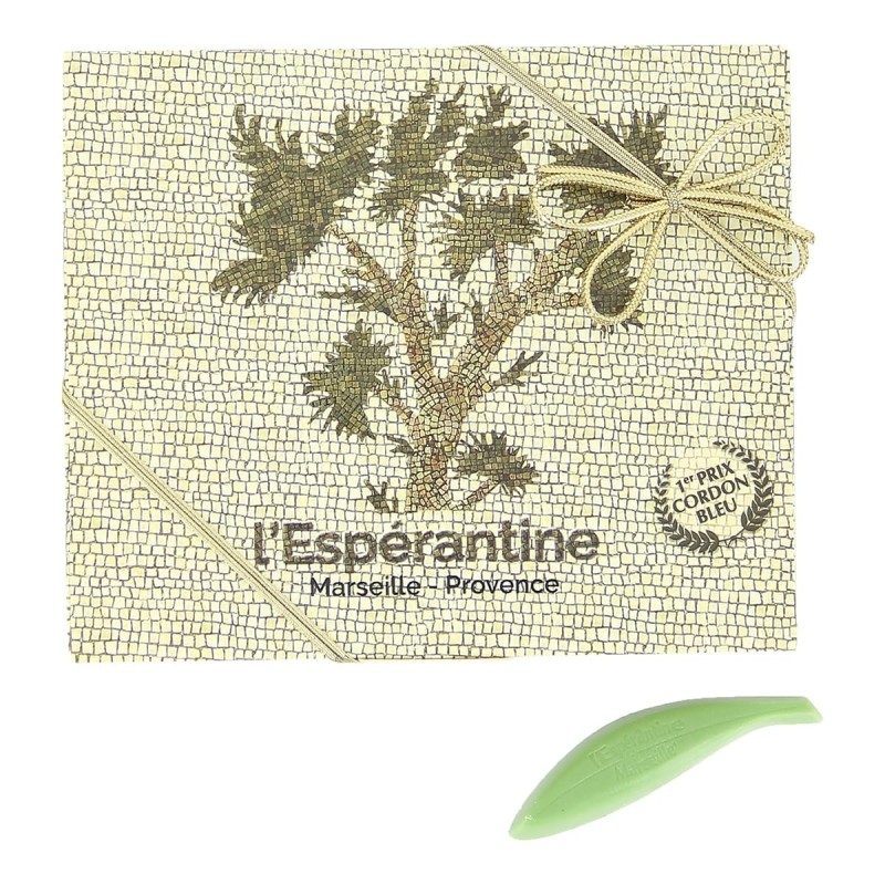 Petit Rameau d'olivier en chocolat - 12 pièces Espérantines Verte