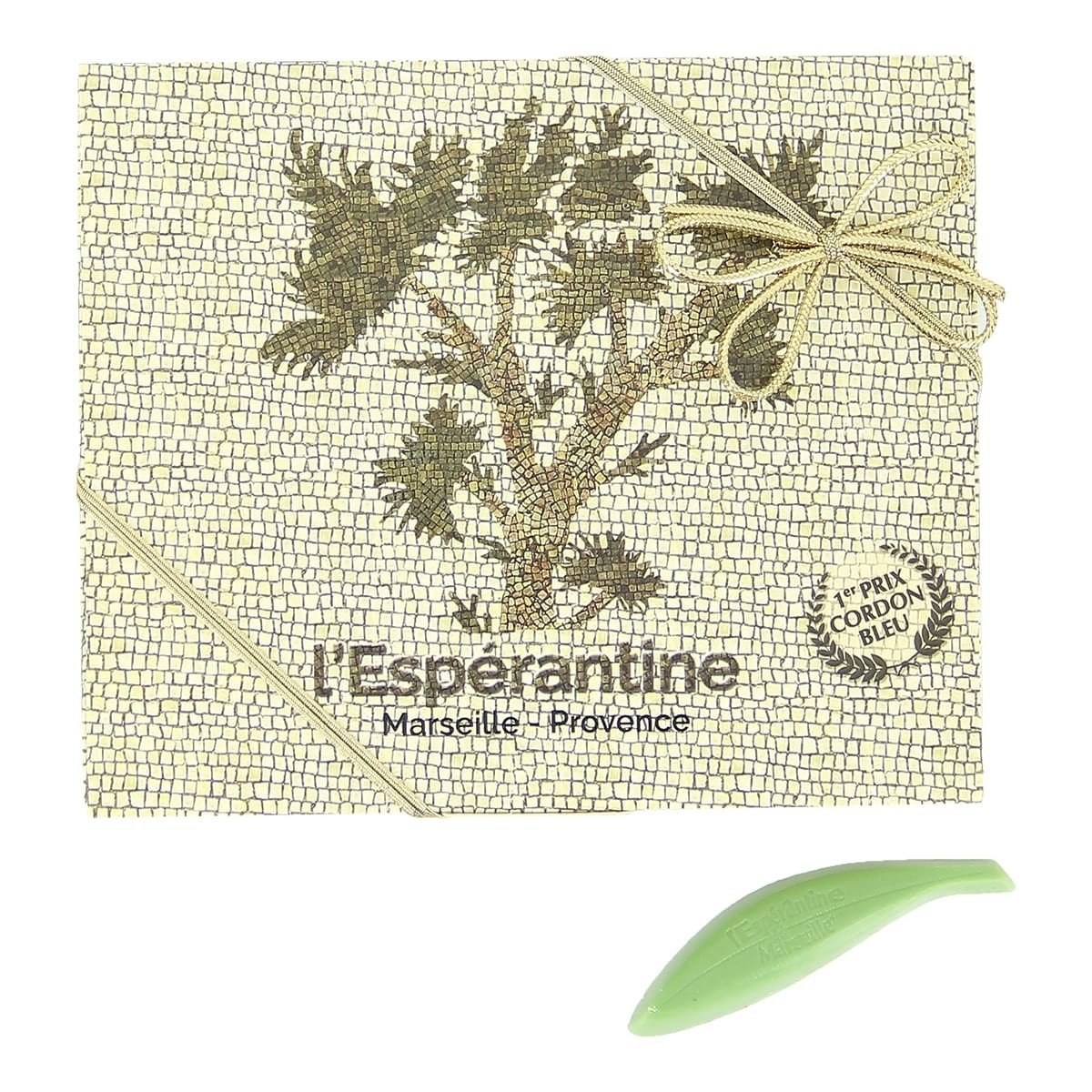 Petit Rameau d'olivier en chocolat - 12 pièces Espérantines Verte