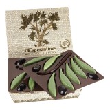 Petit Rameau d'olivier en chocolat - 12 pièces Espérantines Verte