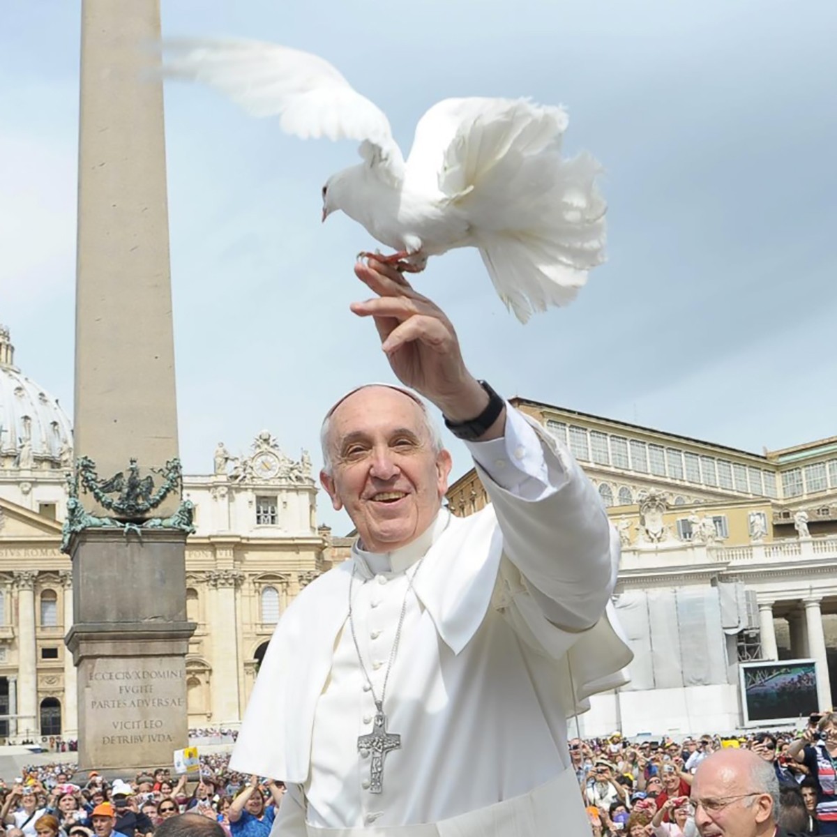 Colombe de la Paix Pralinée aux feuilles d'Espérantines