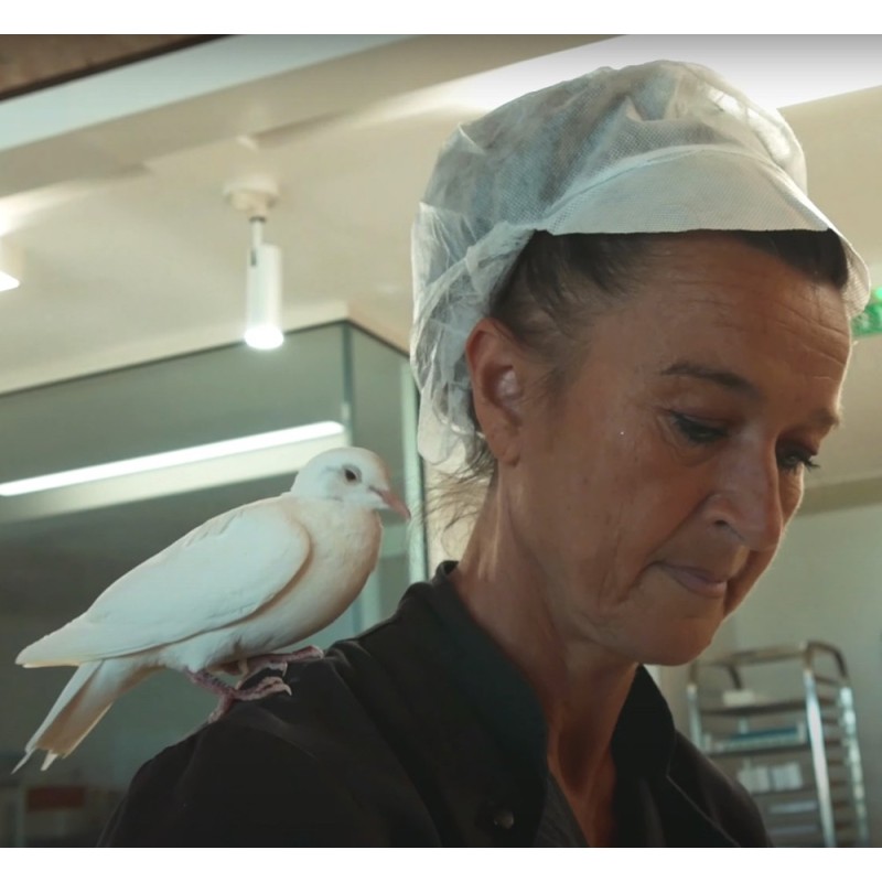 Colombe de la Paix – Praliné Espérantine Dove