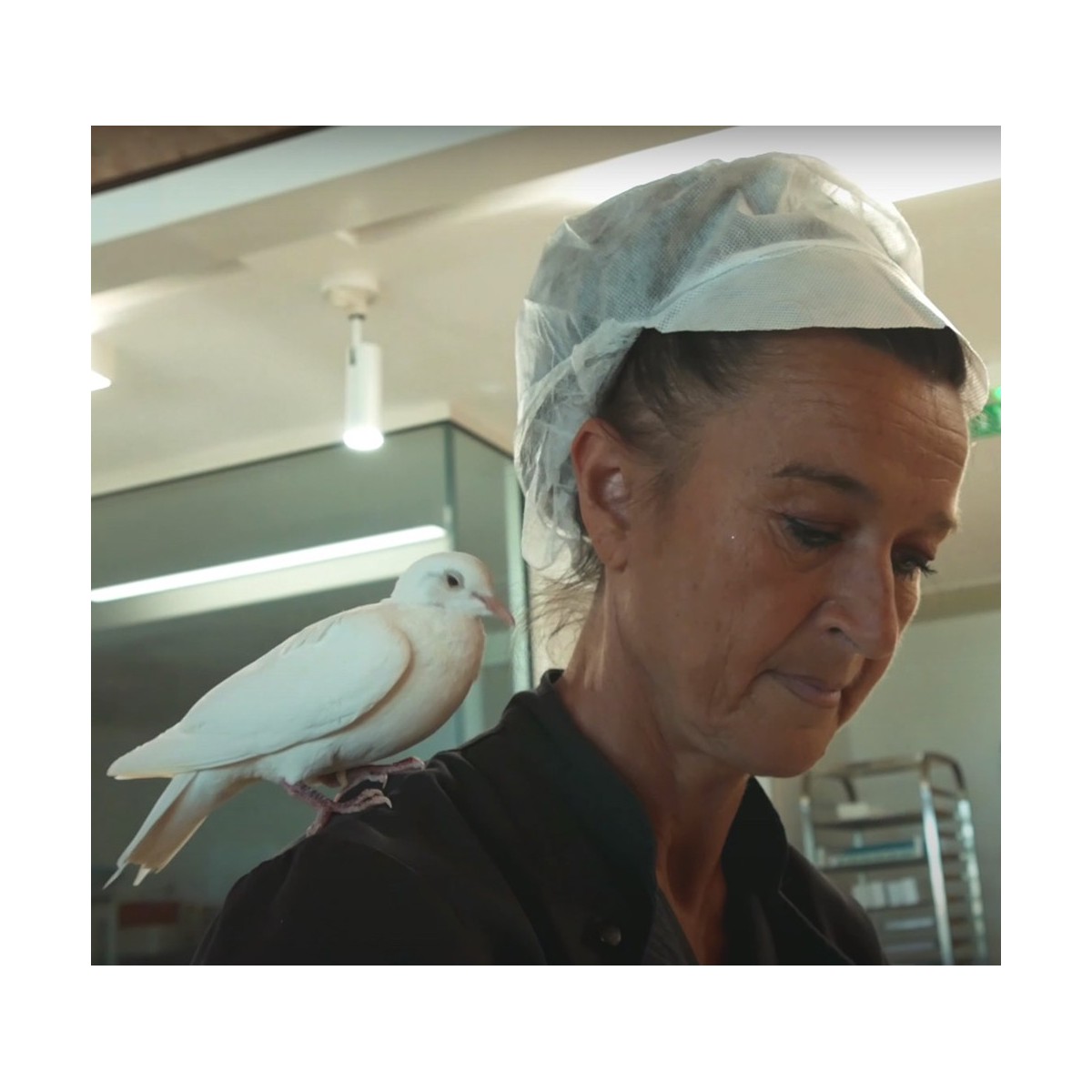 Colombe de la Paix – Praliné Espérantine Dove