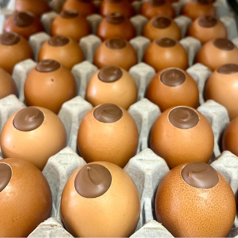 Boîte de 4 Œufs d’Or – Œufs praliné en coquille artisanaux