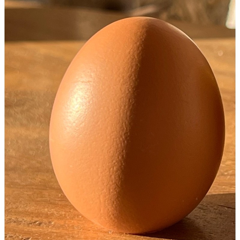 Œuf d’Or Praliné – Chocolat au lait ou noir en coquille