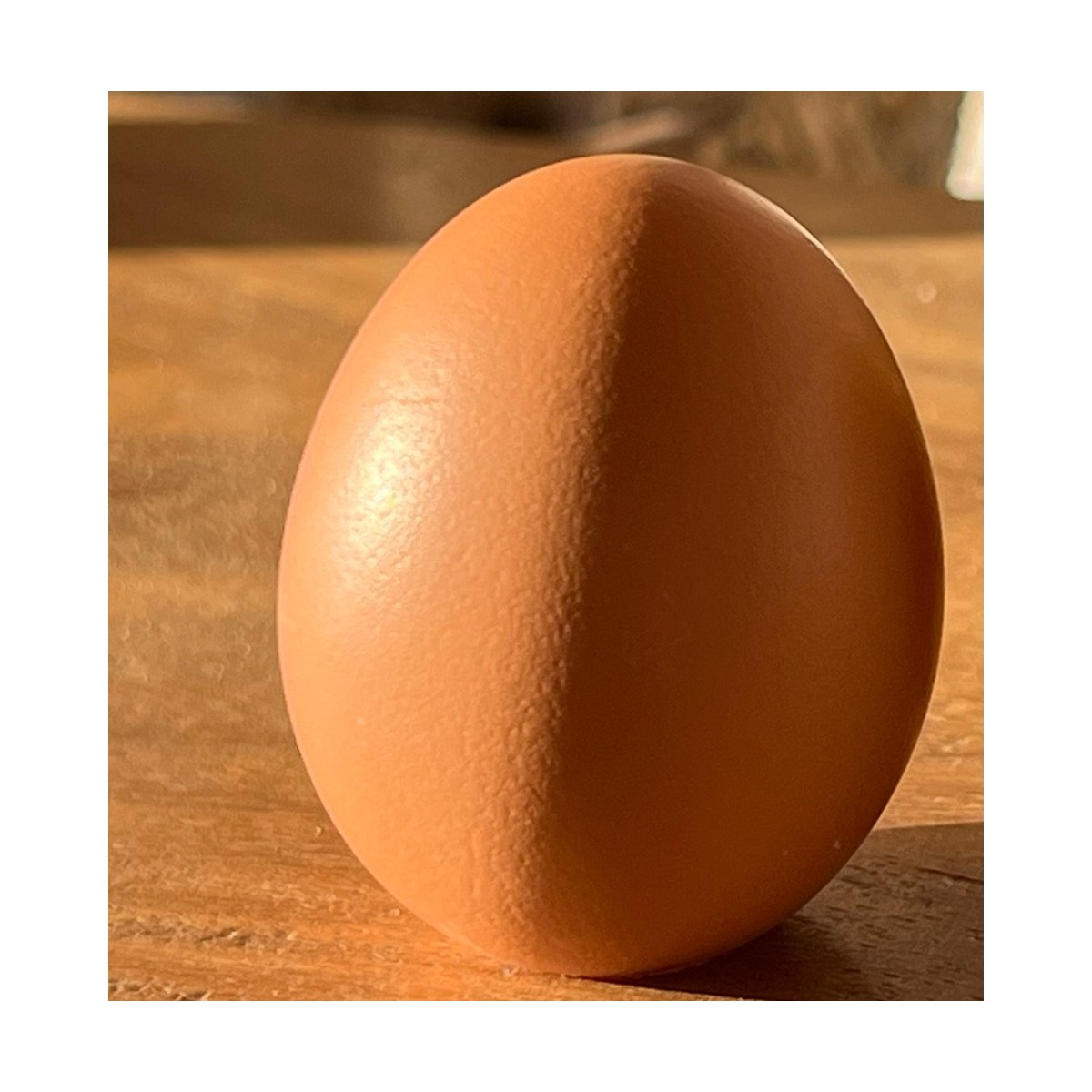 The Golden Egg – Praline Egg in Real Shell x 1