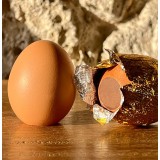 Œuf d’Or Praliné – Chocolat au lait ou noir en coquille