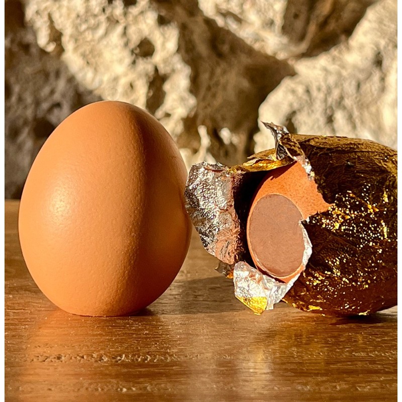 Œuf d’Or Praliné – Chocolat au lait ou noir en coquille