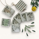 lot athéna tradition