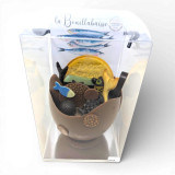 Œuf Bouillabaisse 100% Marseillais – Chocolat artisanal 355 g