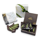 coffret l'Olivier et la Colombe- edition spéciale venue du pape