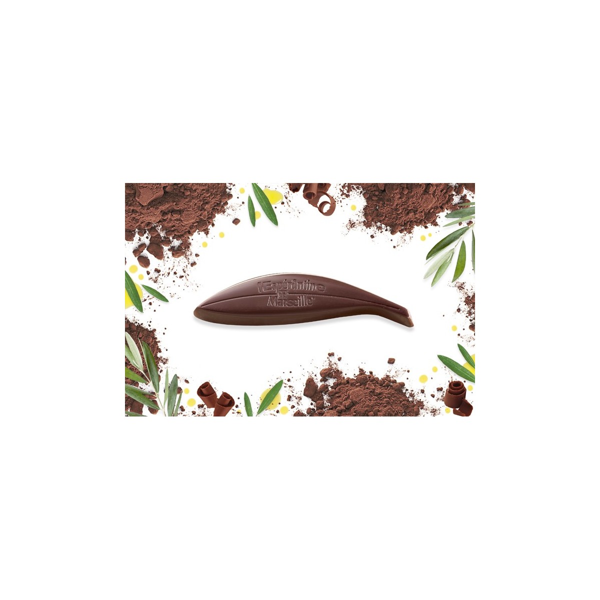 Grand Rameau d'Espérantines Polyphonie. L'assortiment parfait pour tous les gourmands de Chocolats